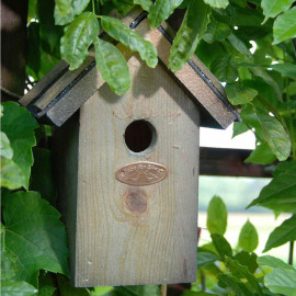 Wren Bird Box Bitumen Roof