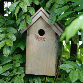 Blue Tit Bird Box Bitumen Roof