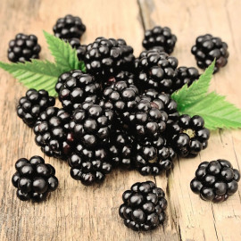 Blackberry (rubus) Loch Ness