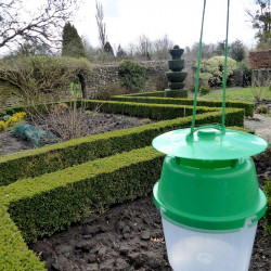 Rhs Box Moth Trap Refill