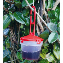 Spotted Wing Drosophila Trap Refill