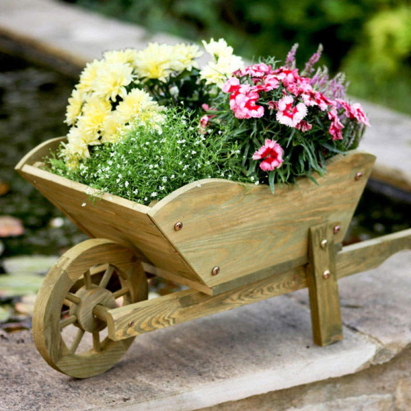 Buy Wooden Wheelbarrow Planter Online - Green plants & flowering plants Buy Wooden Wheelbarrow Planter Online - Green plants & flowering plants