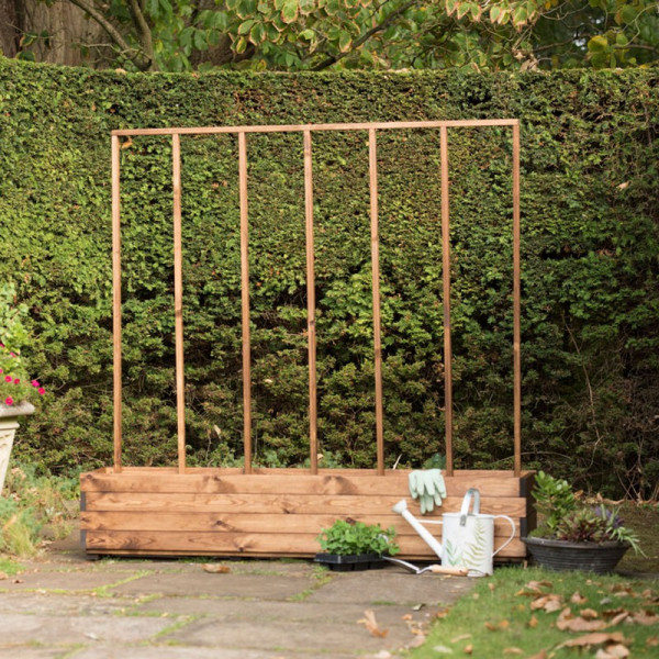Buy RSPB Bean Planter Online - Green plants & flowering plants