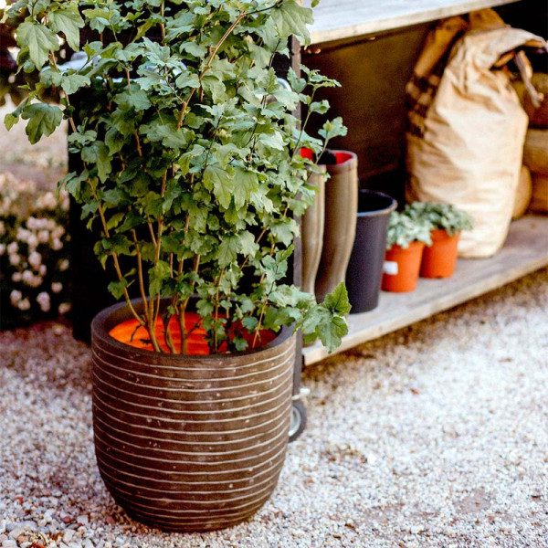 Buy Deluxe Planter Row Olive Green Online - Green plants & flowering plants