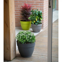 Ninfea Water Reservoir Planter 22cm Anthracite