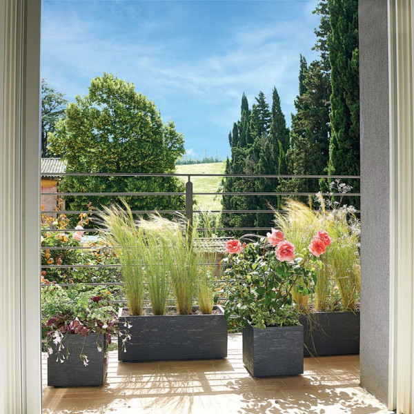 Buy Gravity Trough Charcoal 59cm Online - Green plants & flowering plants Buy Gravity Trough Charcoal 59cm Online - Green plants & flowering plants
