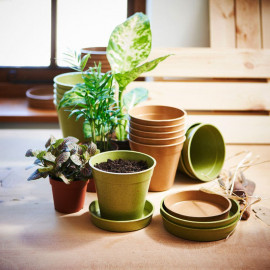5 Bamboo Pot and Saucer Sage Green (5 Pack)