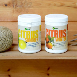Citrus Tree Food Winter