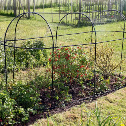 Steel Fruit Cage