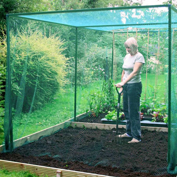 Buy Walk in Fruit Cage with Door Online - Green plants & flowering plants