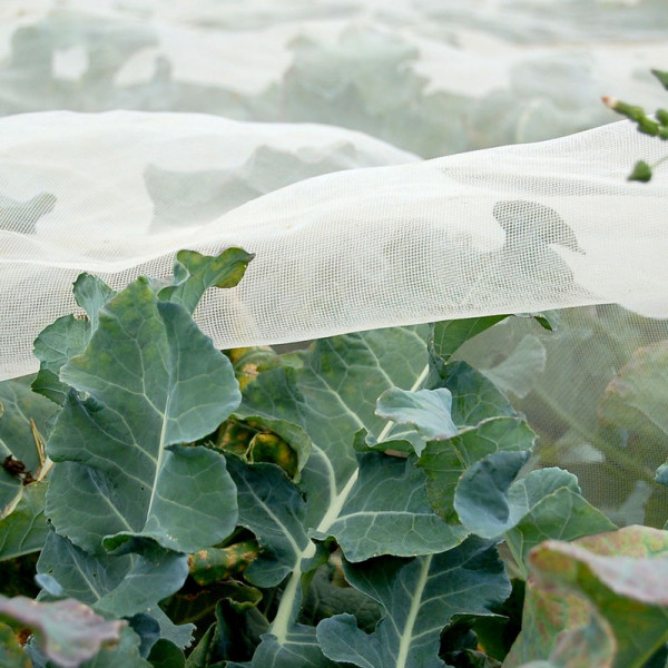 Buy Environmesh Ultrafine (2.1 x 4.75m) Online - Garden Plants & Bushes