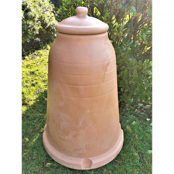 Buy Rhubarb Forcer Online - Green plants & flowering plants Buy Rhubarb Forcer Online - Green plants & flowering plants