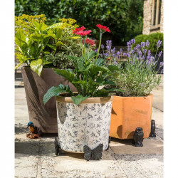 Butterfly Pot Feet