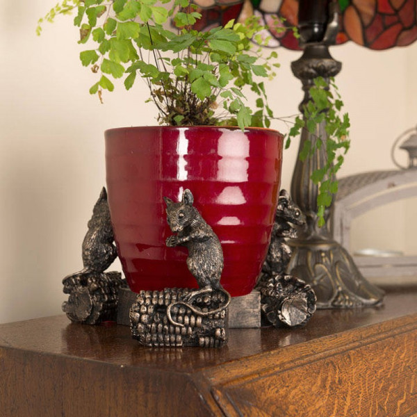 Buy Mouse on Sweetcorn Pot Feet Online - Green plants & flowering plants Buy Mouse on Sweetcorn Pot Feet Online - Green plants & flowering plants