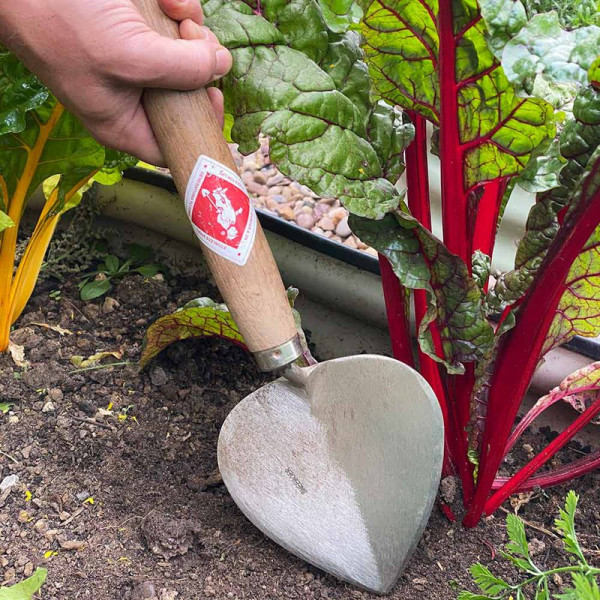 Buy Planting Trowel Old Dutch style Online - Green plants & flowering plants