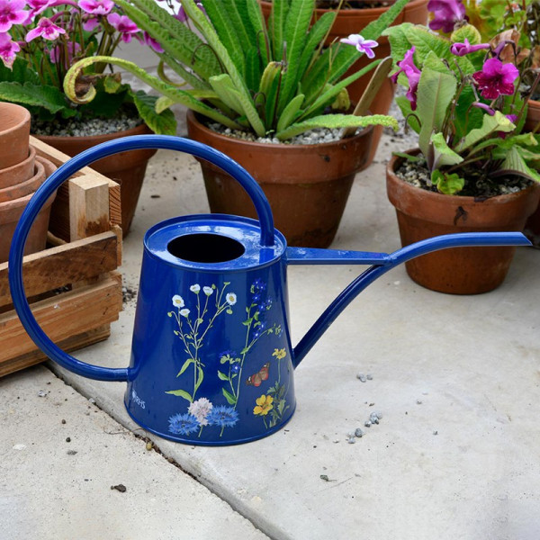 Buy RHS British Meadow Indoor Watering Can Online - Green plants & flowering plants