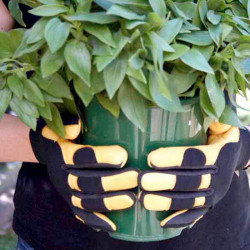 Rhs Soft Touch Gloves Ladies