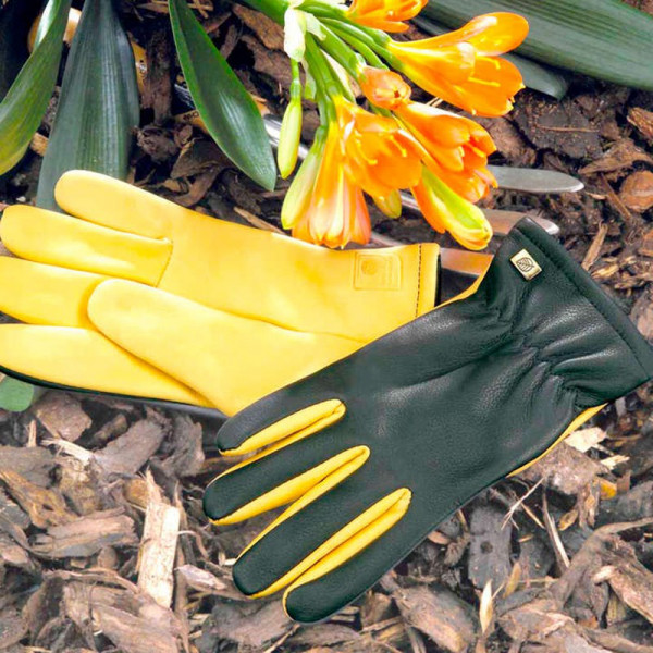 Buy RHS Dry Touch Gloves Mens Online - Garden Plants & Bushes
