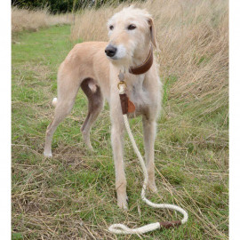 Au Naturel Trigger Hook Dog Lead