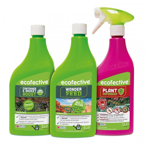 Buy Wonder Feed Concentrate 1 Litre Online - Green plants & flowering plants
