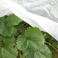 Rhs Envirofleece 30g Winter Weight Insulation