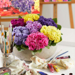 Primula Plants Rubens Mix