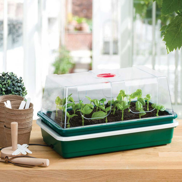 Buy Table Top Electric Propagator Online - Green plants & flowering plants
