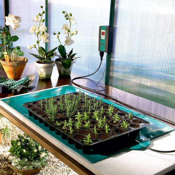 Buy Warming Pad Online - Green plants & flowering plants