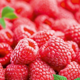 Raspberry Fruit Plants Autumn Bliss