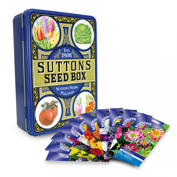 Buy Seed Tin with Flower Seed Online - Plant Seeds