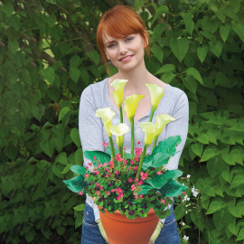 Plant O Mat Calla/oxalis