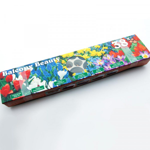 Buy Plant O Tray Balcony Preplanted Bulbs Mixed Online - Green plants & flowering plants