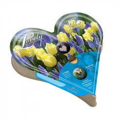 Plant O Tray Heart Preplanted Bulbs Tulip & Muscari