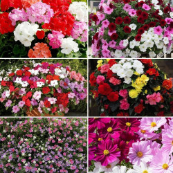 Garden Ready Collection