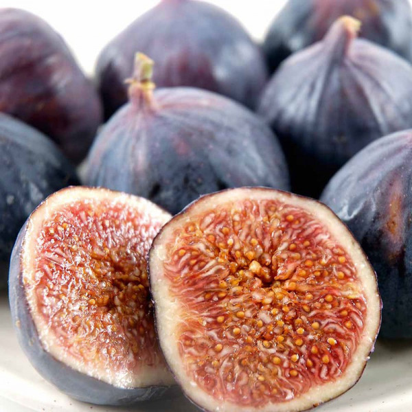 Buy Fig Plant Brown Turkey Online - Green plants & flowering plants Buy Fig Plant Brown Turkey Online - Green plants & flowering plants