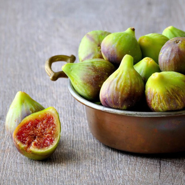 Buy Fig (Ficus) Brunswick Online - Green plants & flowering plants