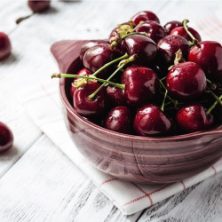 Cherry (prunus) Stella