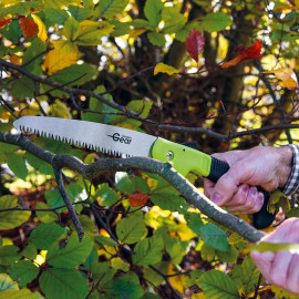 Pruning Saw
