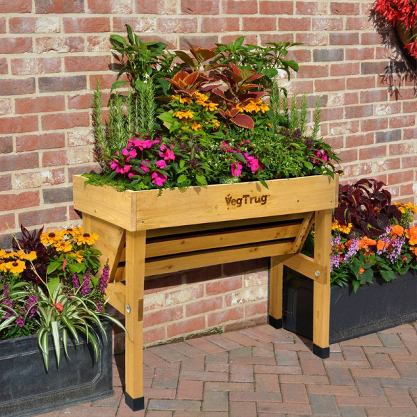 Buy Small WallHugger Greenhouse Frame & Multi Cover Set Online - Green plants & flowering plants