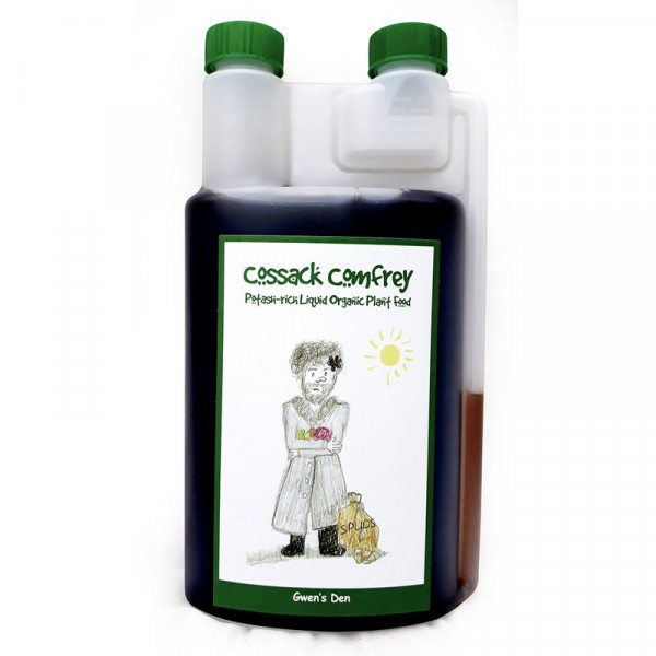 Buy Organic Comfrey Cossack Online - Green plants & flowering plants