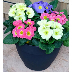 Ninfea Water Reservoir Planter 30cm Anthracite (pair)