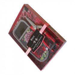 Rhs British Bloom Collection Snip and Holster Gift Set