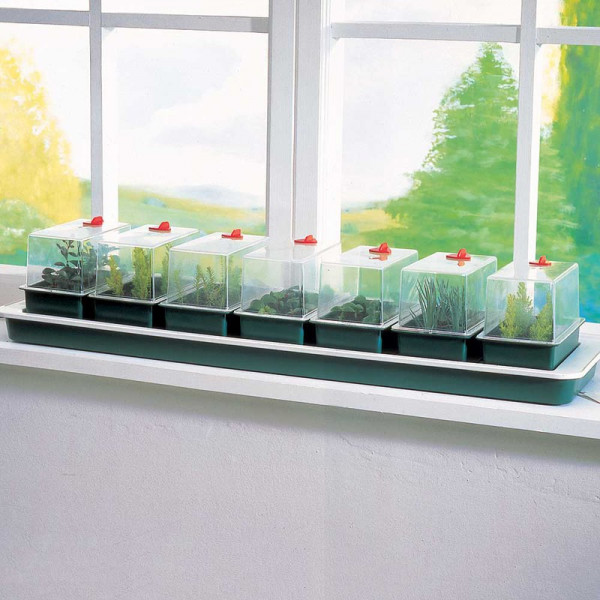 Buy Super 7 Electric Propagator Online - Green plants & flowering plants