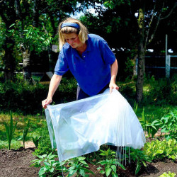 Easy Polythene Film Tunnel (3 Metre Standard)