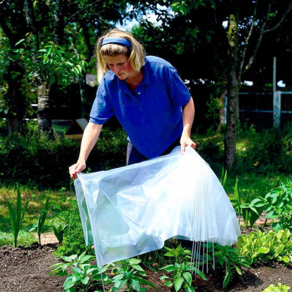 Buy Easy Polythene Film Tunnel (3 Metre Standard) Online - Green plants & flowering plants