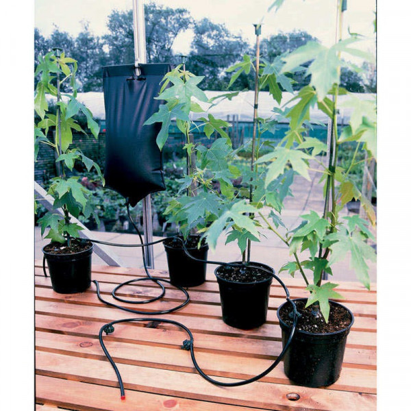 Buy Big Drippa Watering Kit Online - Garden Plants & Bushes
