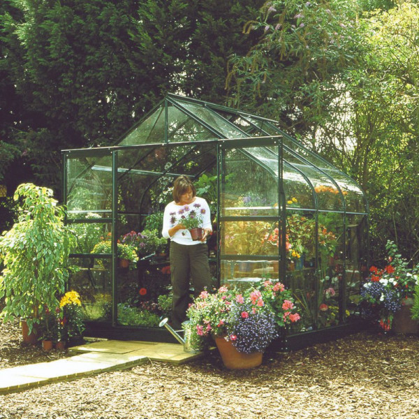 Buy Halls Highgrove Greenhouse 4' x 6' Online - Green plants & flowering plants