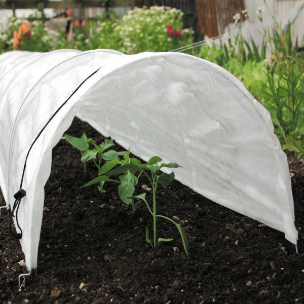 Buy Easy Fleece Tunnel Standard Online - Green plants & flowering plants