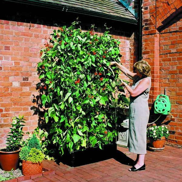 Buy Cover for Mini Raised Bed Online - Green plants & flowering plants