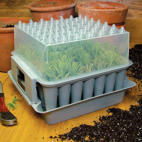 Buy RHS Plug Plant Trainer Propagator Online - Green plants & flowering plants